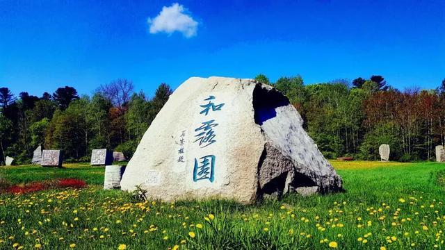 整治福鼎市场中心周边商铺违规拉线悬挂行为。